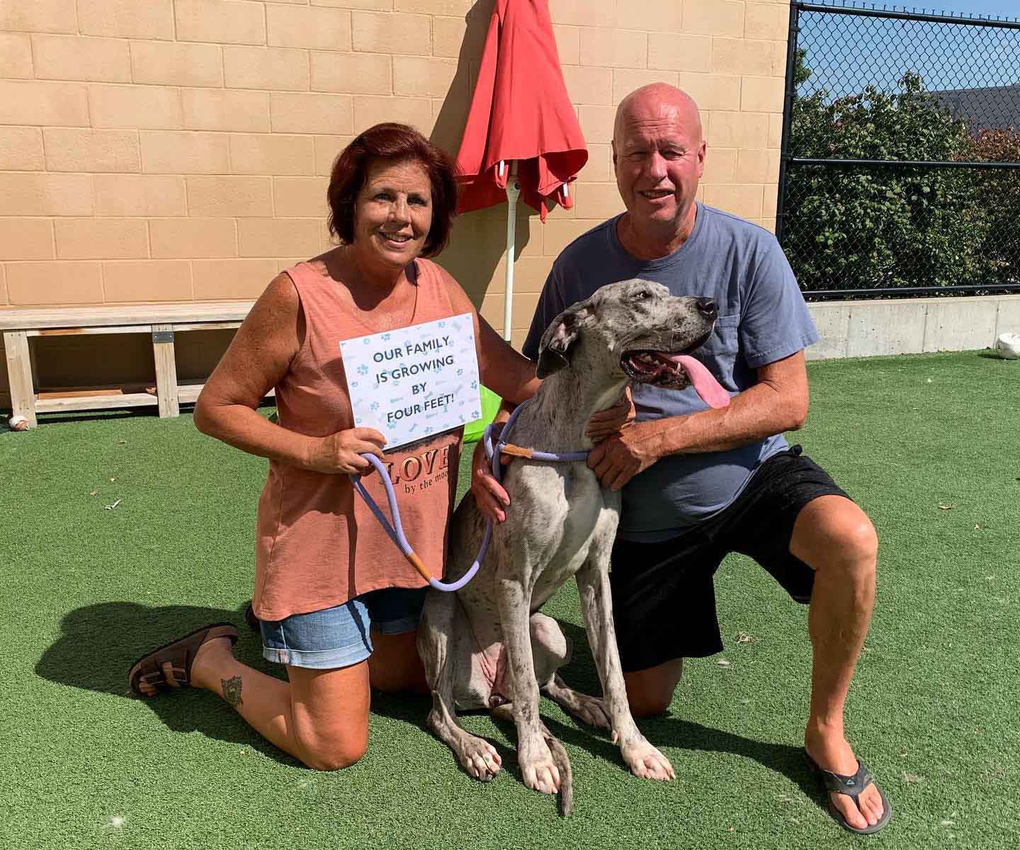 Gracie Going Home ONE Gas employee rescue dog